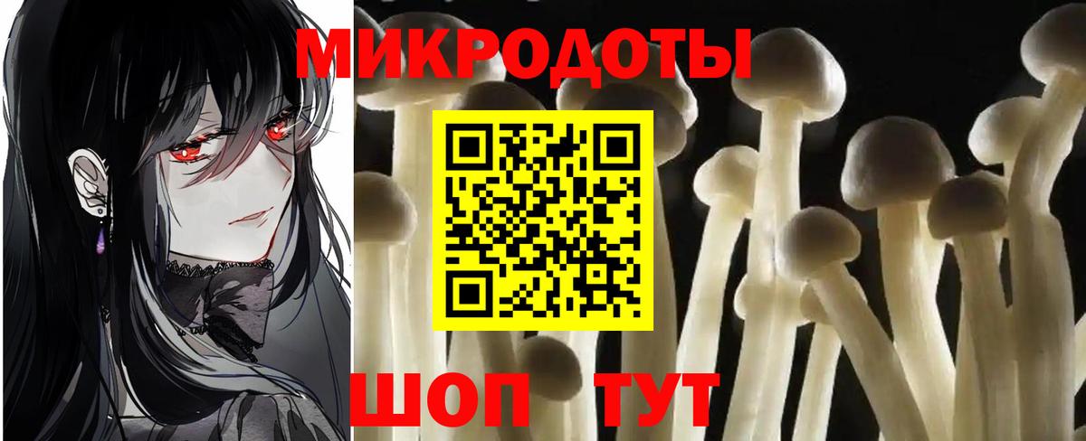 Псилоцибиновые грибы мухоморы Волоколамск