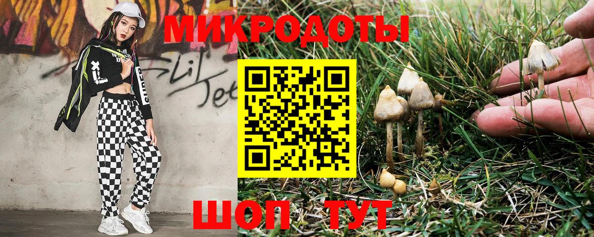 Галлюциногенные грибы мицелий  Галлюциногенные грибы GOLDEN TEACHER  Волоколамск  Вход с VPN 
